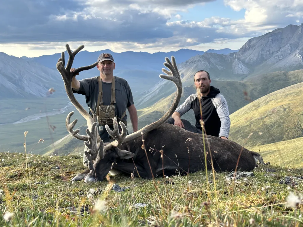 Caribou